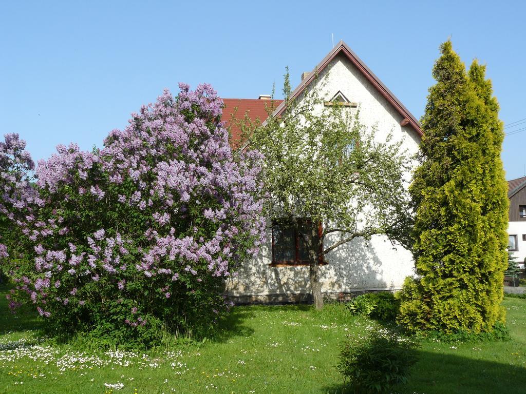 Apartmany Snezenka Destne v Orlickych horach Extérieur photo